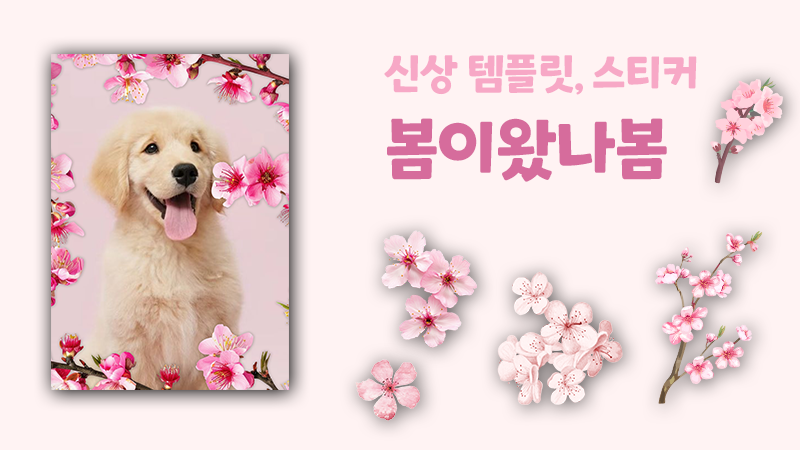 봄이 왔나봄